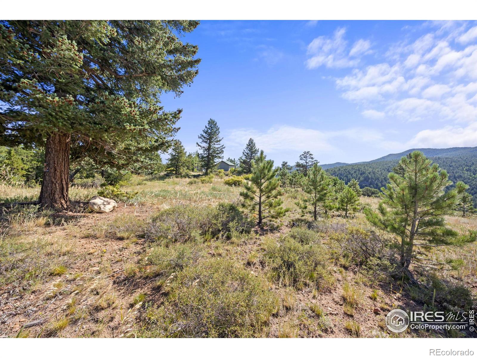 134 Hurricane Hill Drive Nederland CO 80466