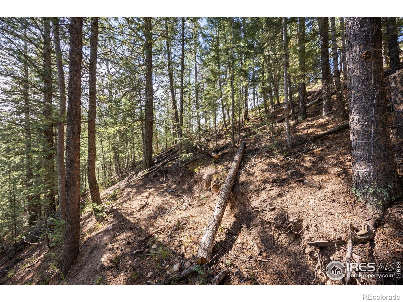 134 Hurricane Hill Drive Nederland CO 80466
