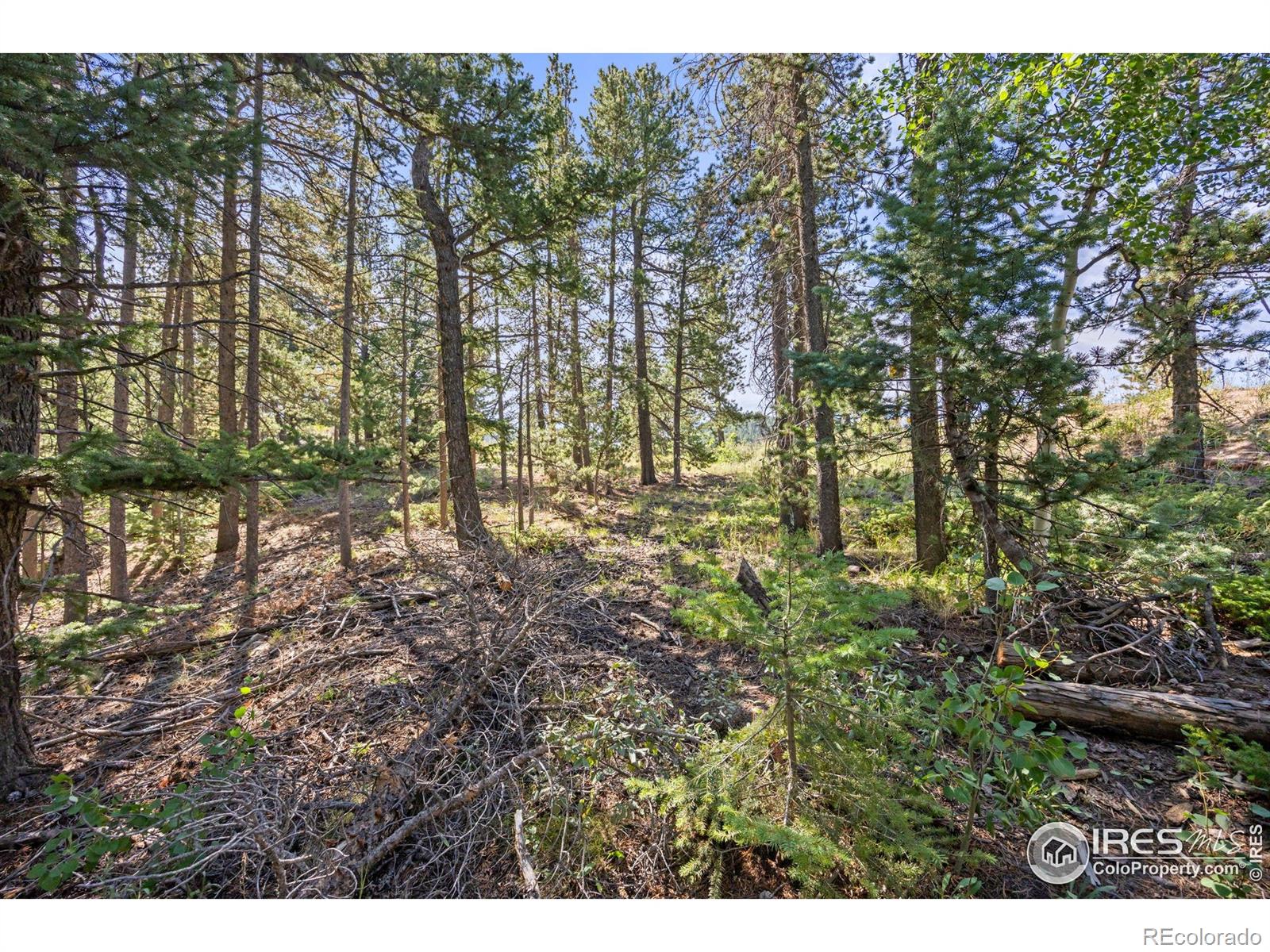 134 Hurricane Hill Drive Nederland CO 80466
