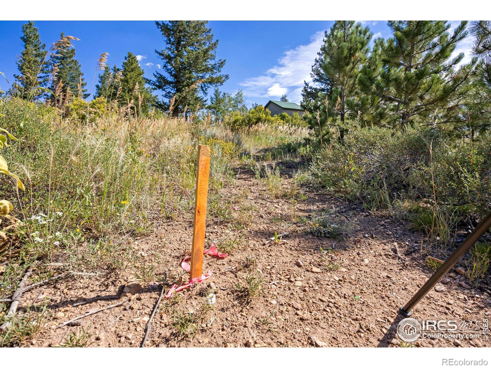 134 Hurricane Hill Drive Nederland CO 80466