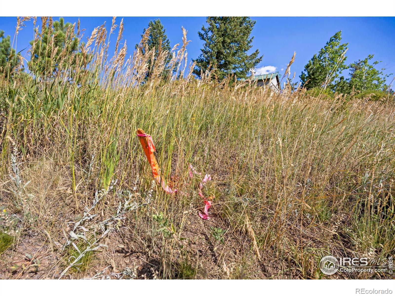 134 Hurricane Hill Drive Nederland CO 80466