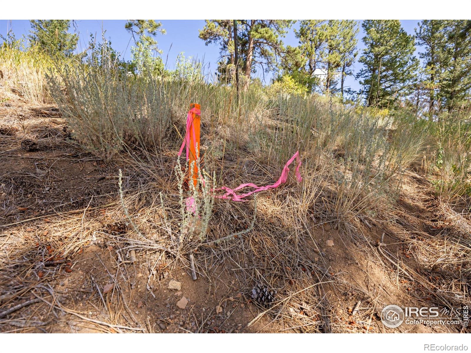 134 Hurricane Hill Drive Nederland CO 80466