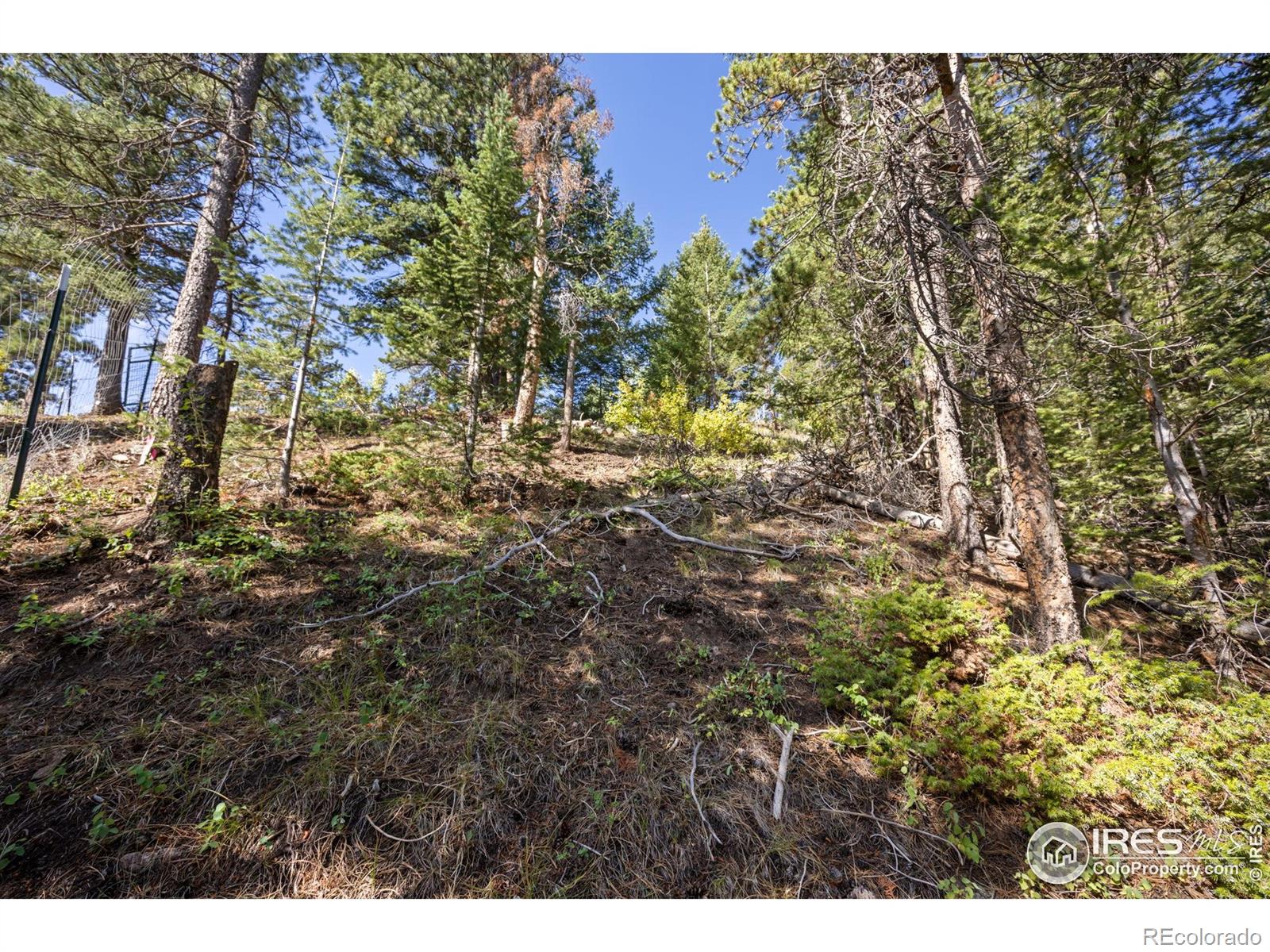 134 Hurricane Hill Drive Nederland CO 80466
