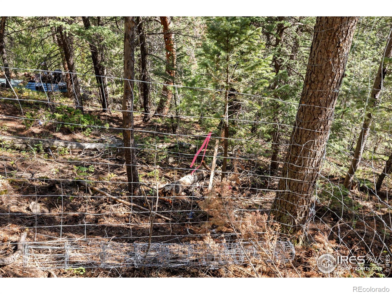 134 Hurricane Hill Drive Nederland CO 80466