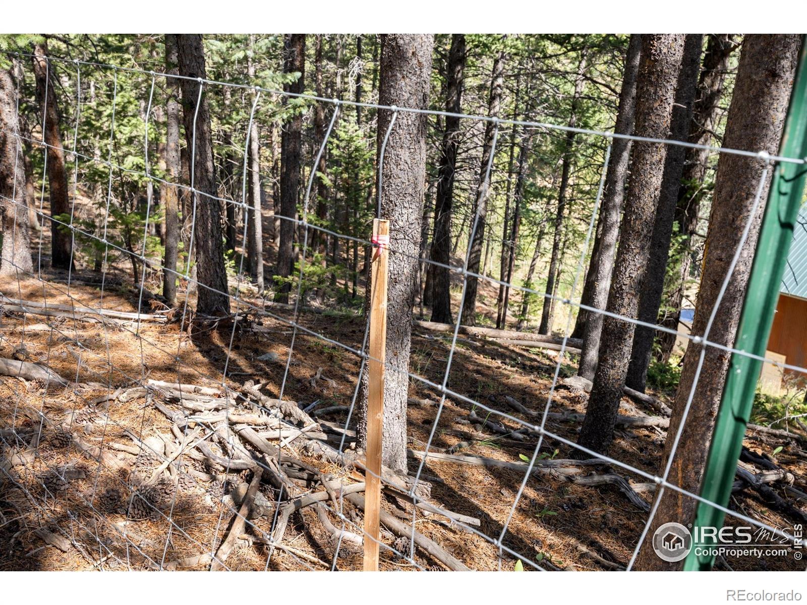 134 Hurricane Hill Drive Nederland CO 80466