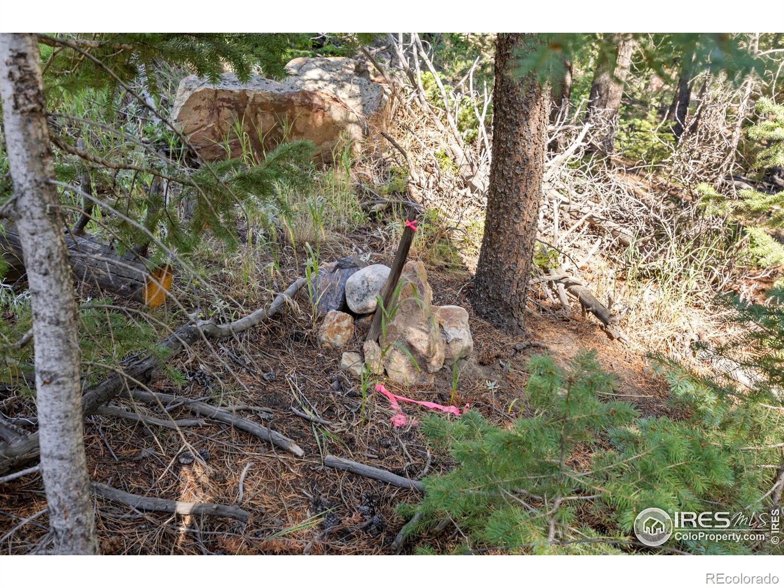 134 Hurricane Hill Drive Nederland CO 80466