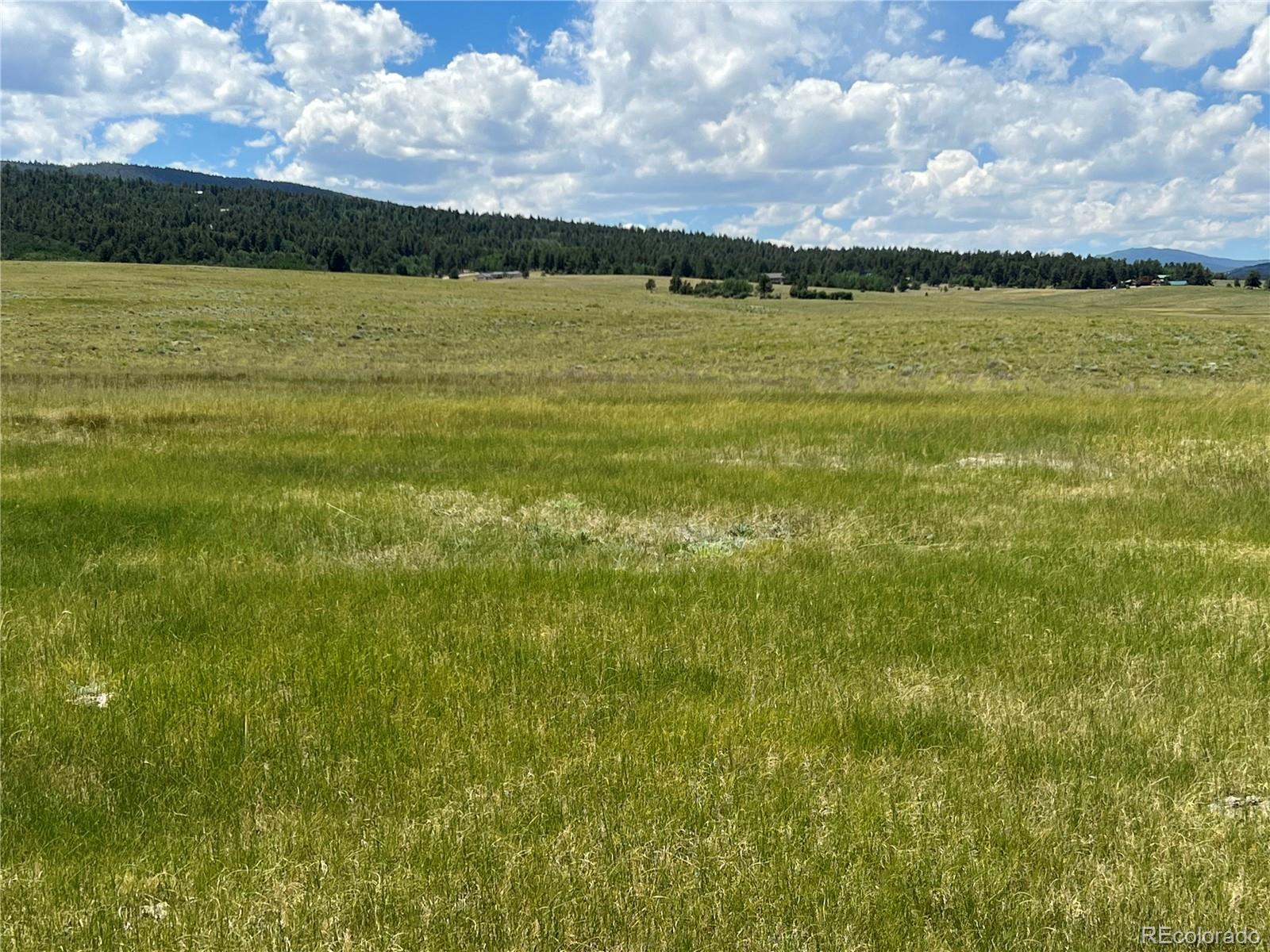 3255 Ranch Road Hartsel CO 80449