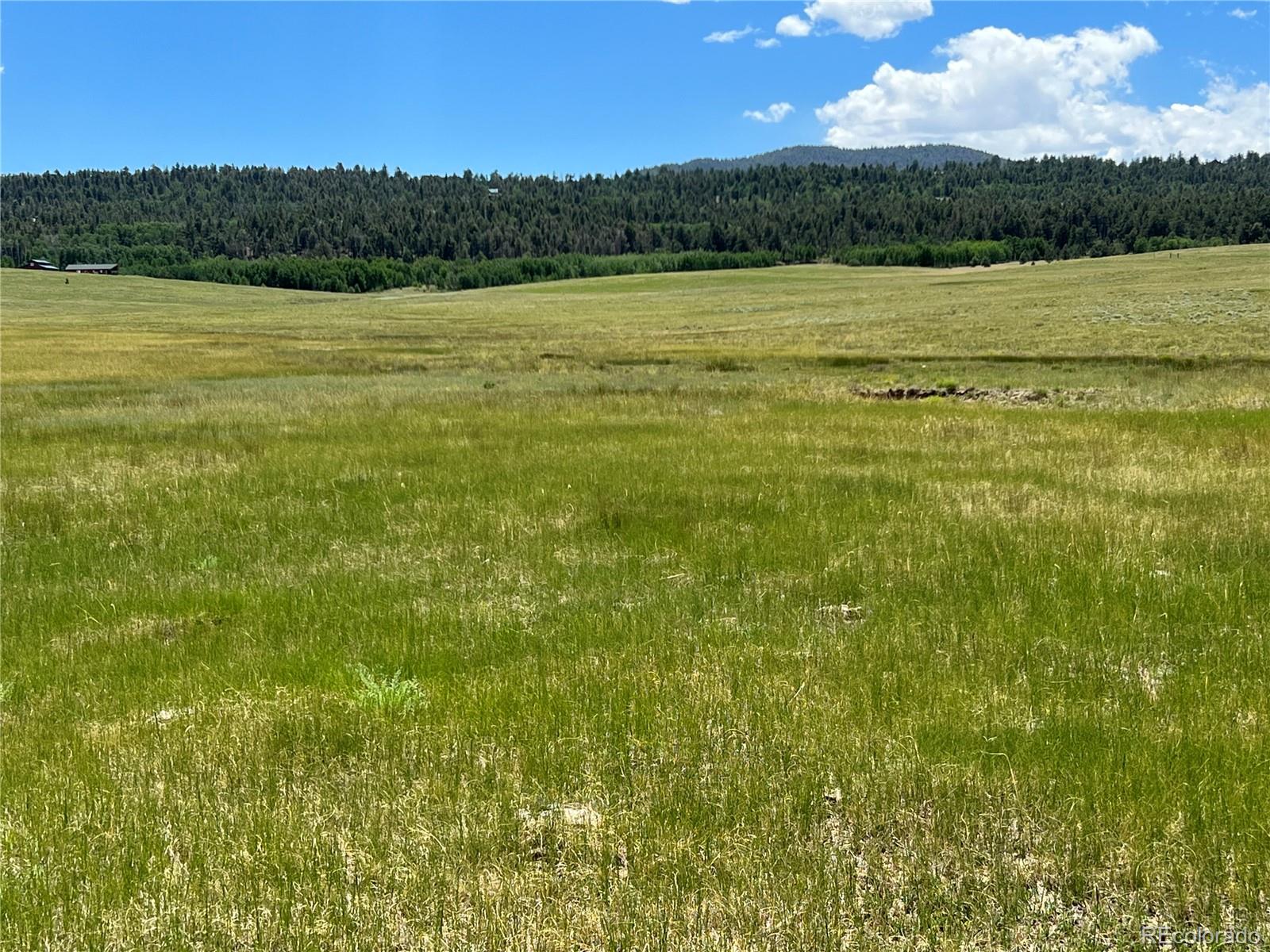 3255 Ranch Road Hartsel CO 80449