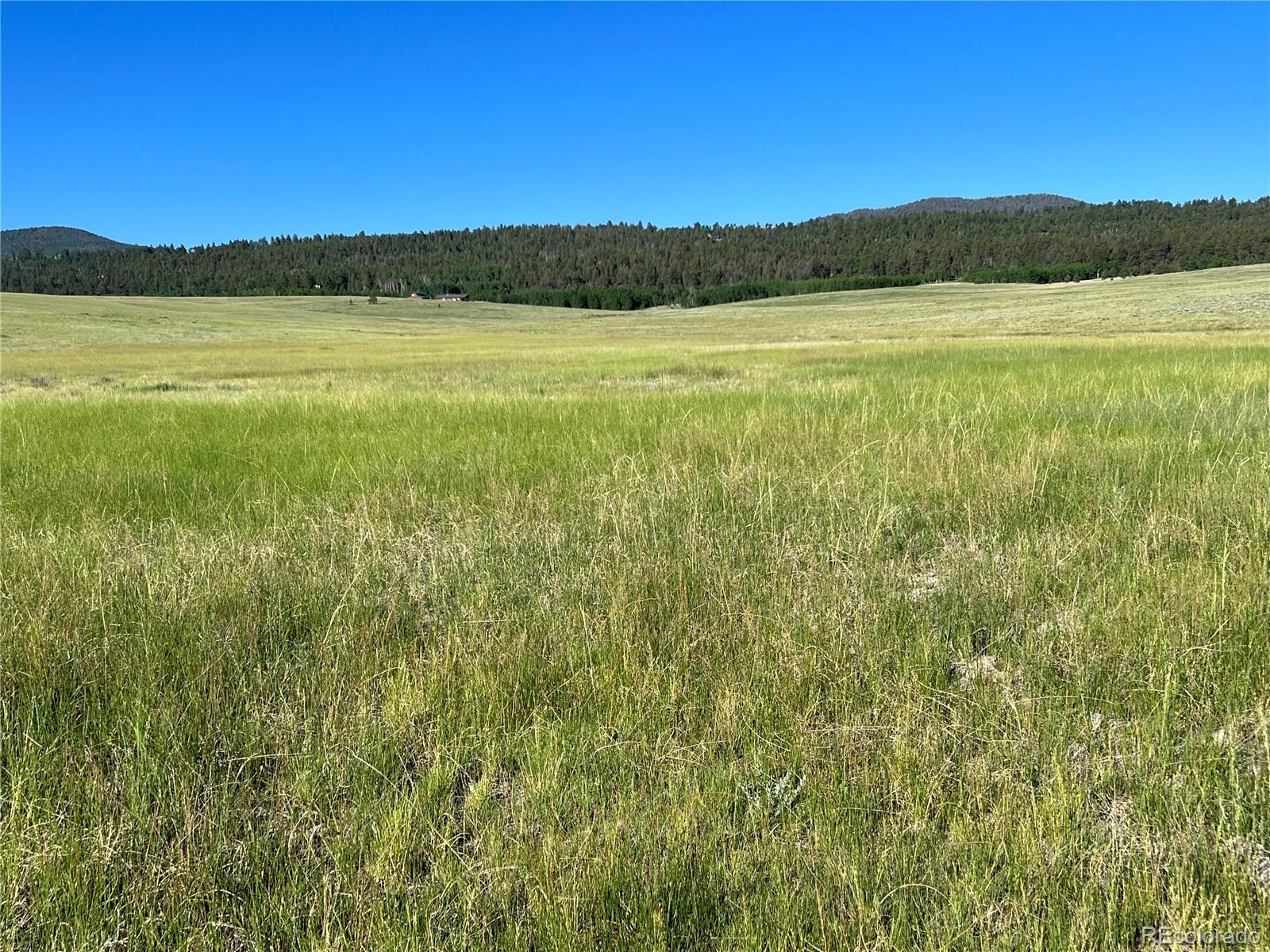 3255 Ranch Road Hartsel CO 80449
