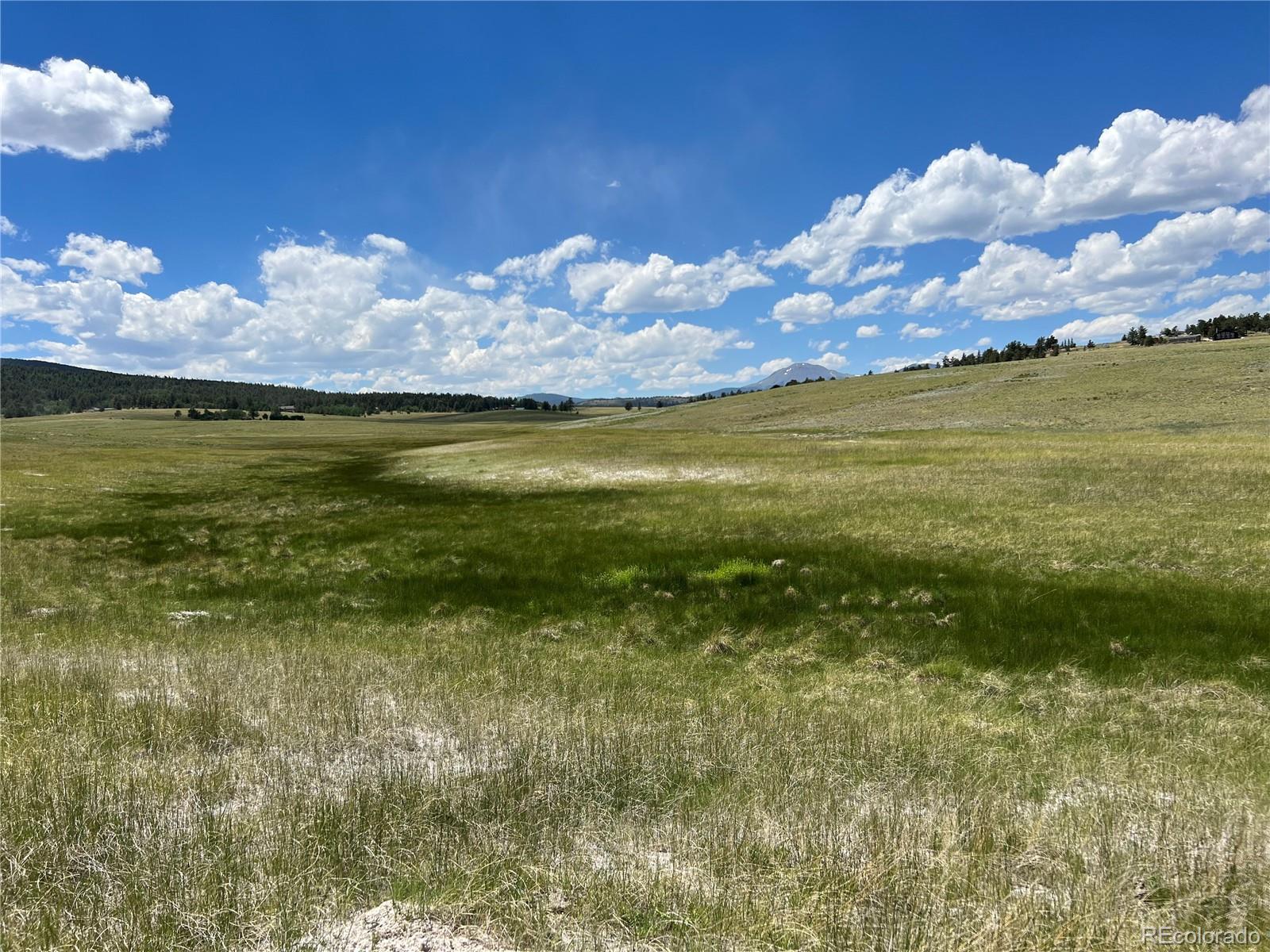 3255 Ranch Road Hartsel CO 80449