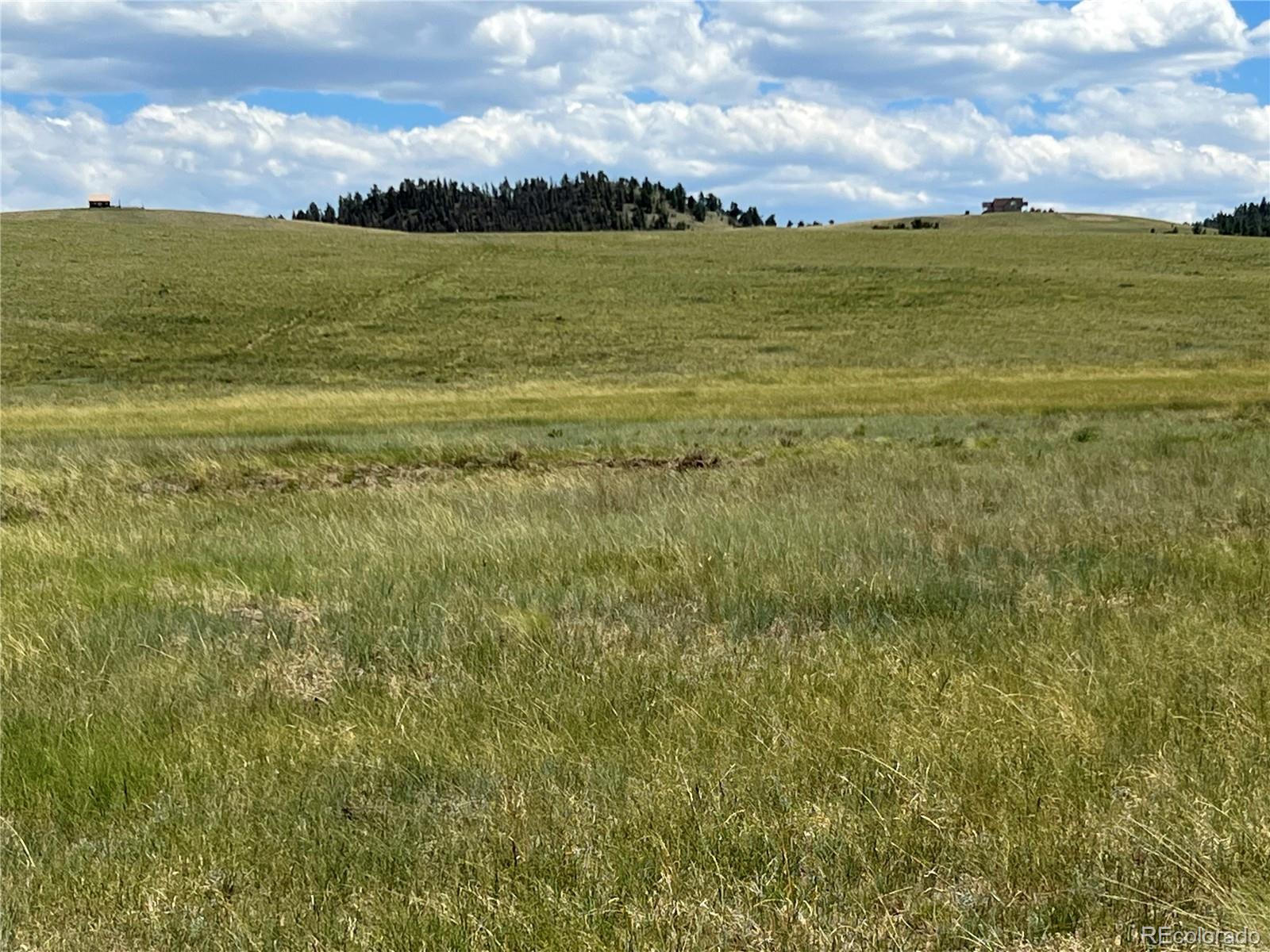 3255 Ranch Road Hartsel CO 80449