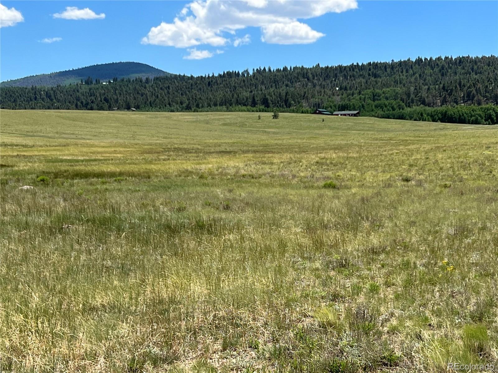 3255 Ranch Road Hartsel CO 80449