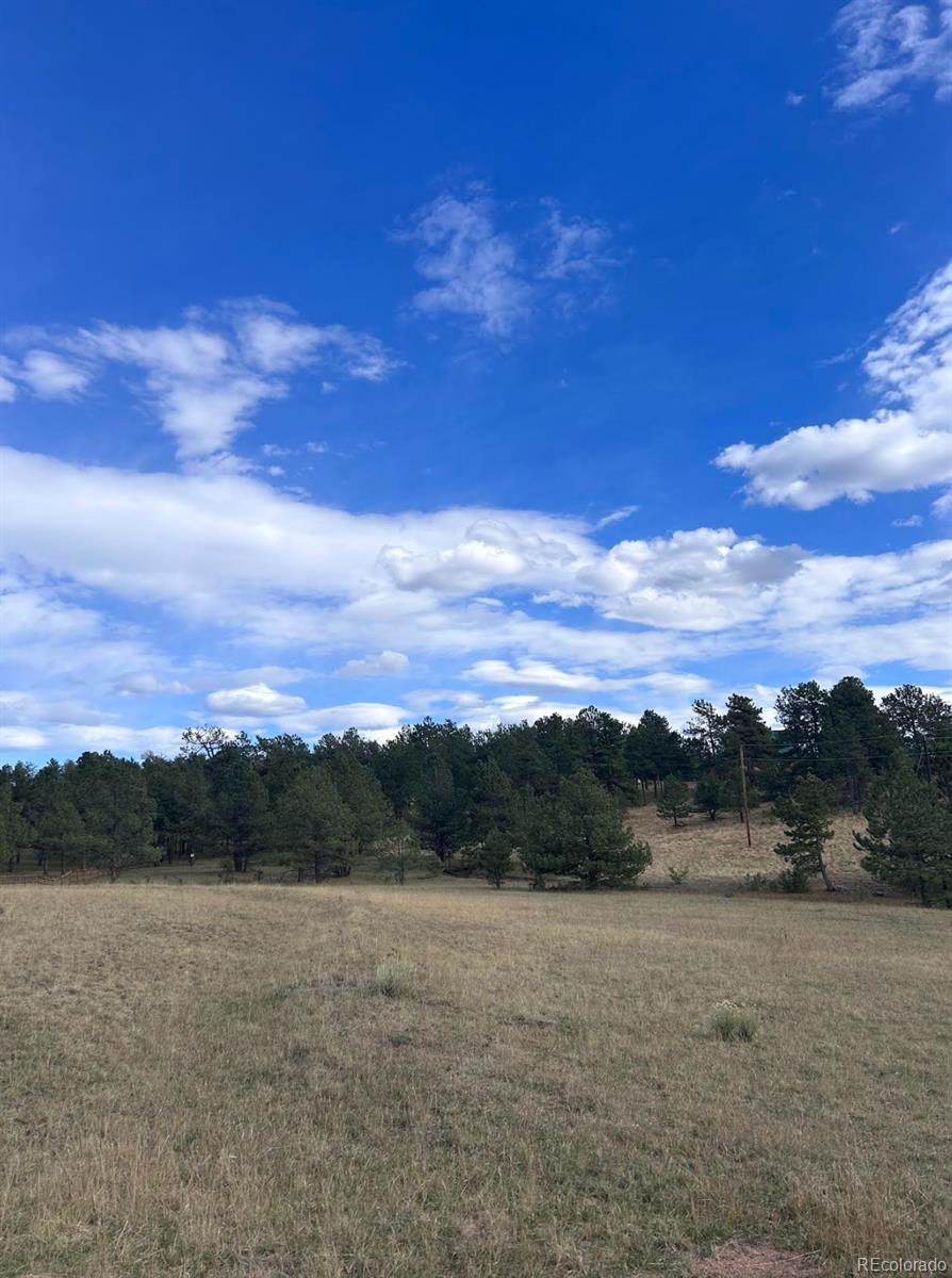 382 Arrowhead Drive Florissant CO 80816