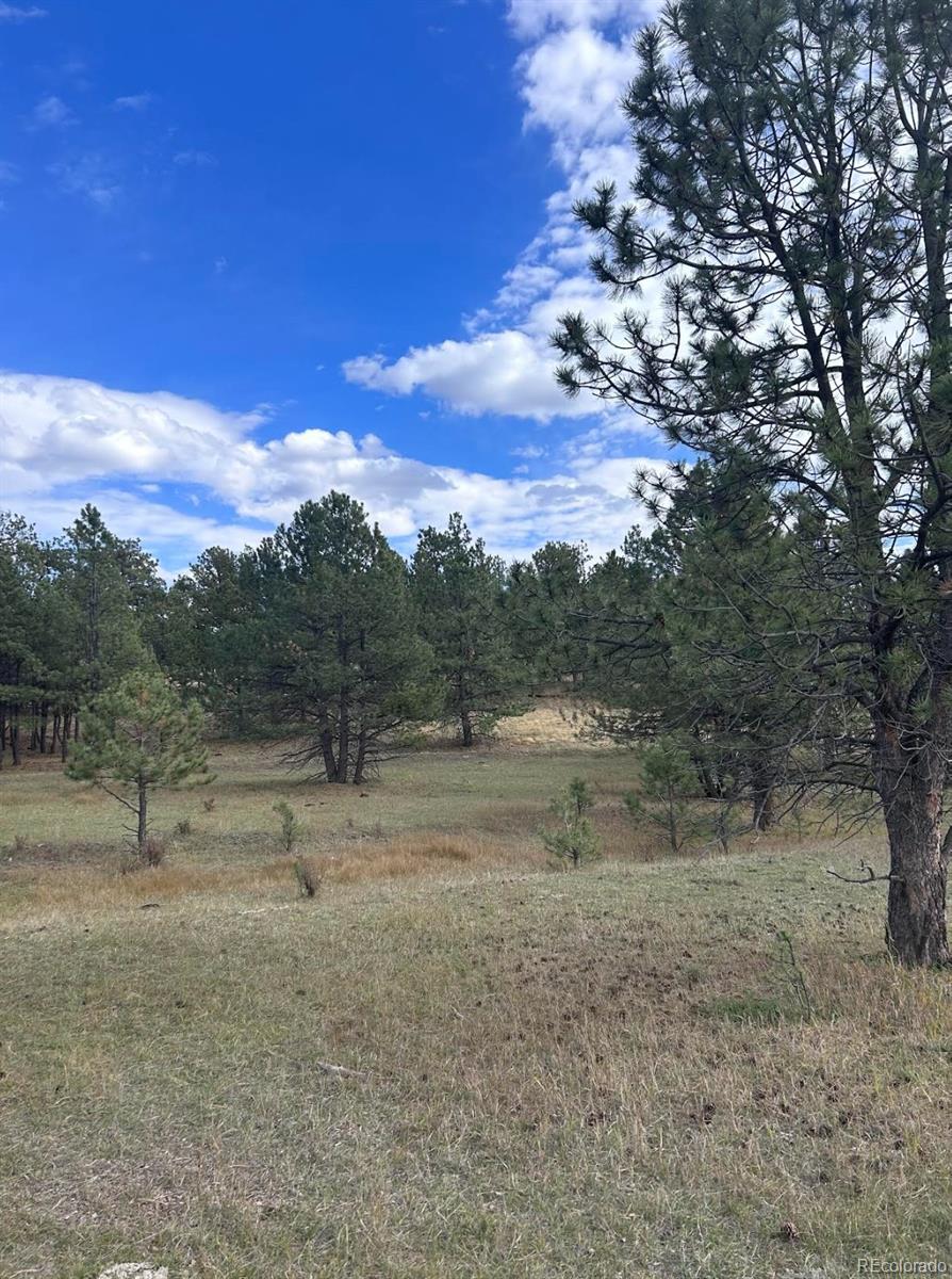 382 Arrowhead Drive Florissant CO 80816