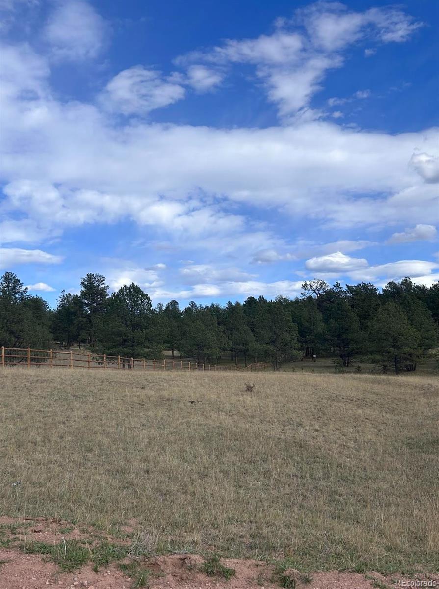 382 Arrowhead Drive Florissant CO 80816