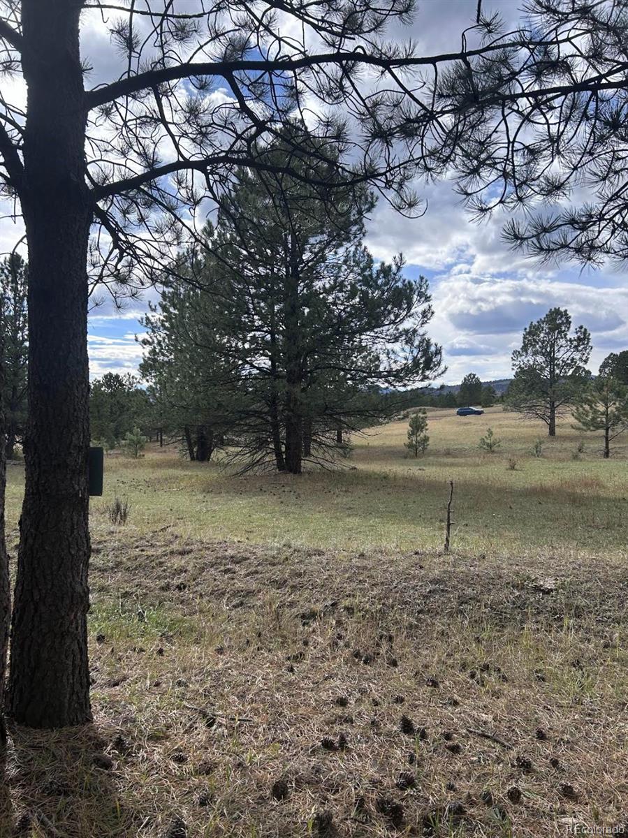 382 Arrowhead Drive Florissant CO 80816