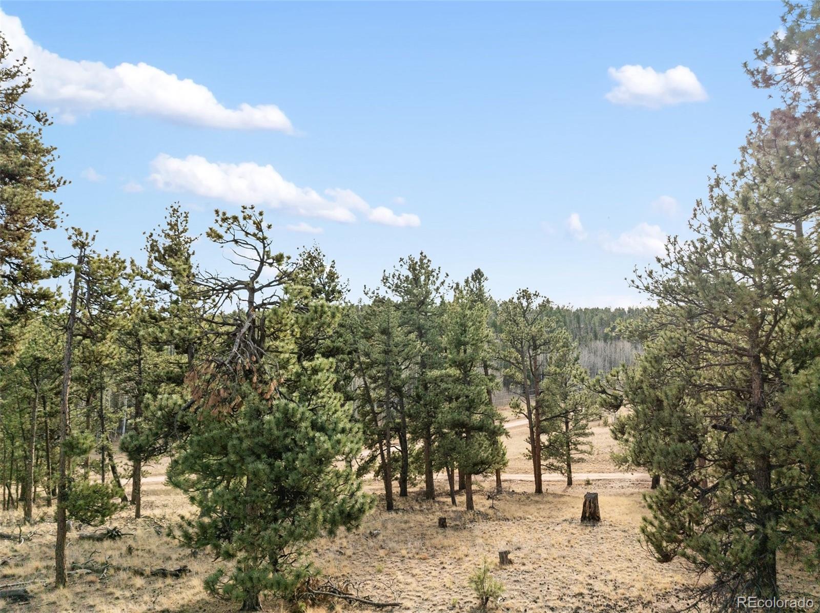 263 Valley Drive Lake George CO 80827