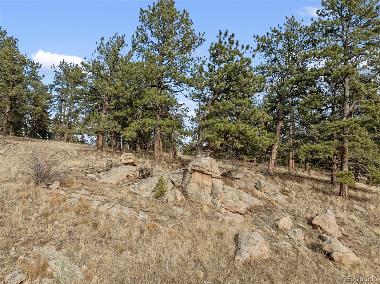 263 Valley Drive Lake George CO 80827