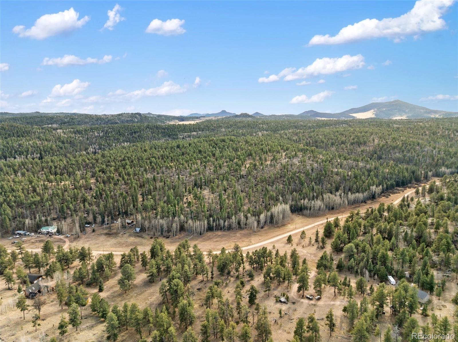 263 Valley Drive Lake George CO 80827