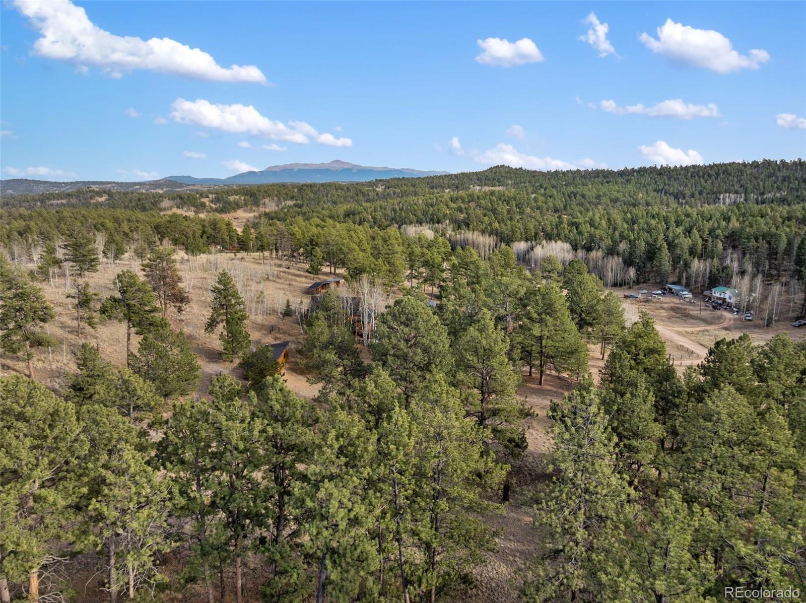 263 Valley Drive Lake George CO 80827