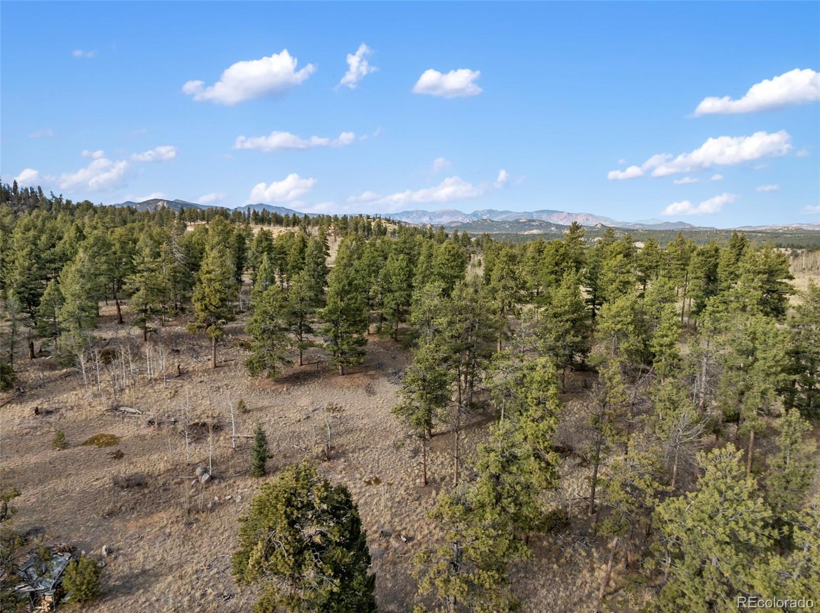 263 Valley Drive Lake George CO 80827