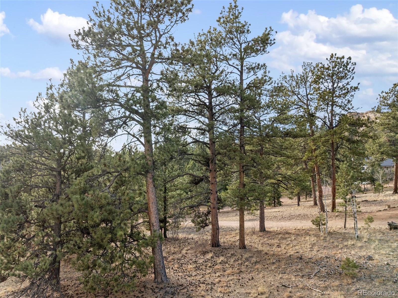 263 Valley Drive Lake George CO 80827