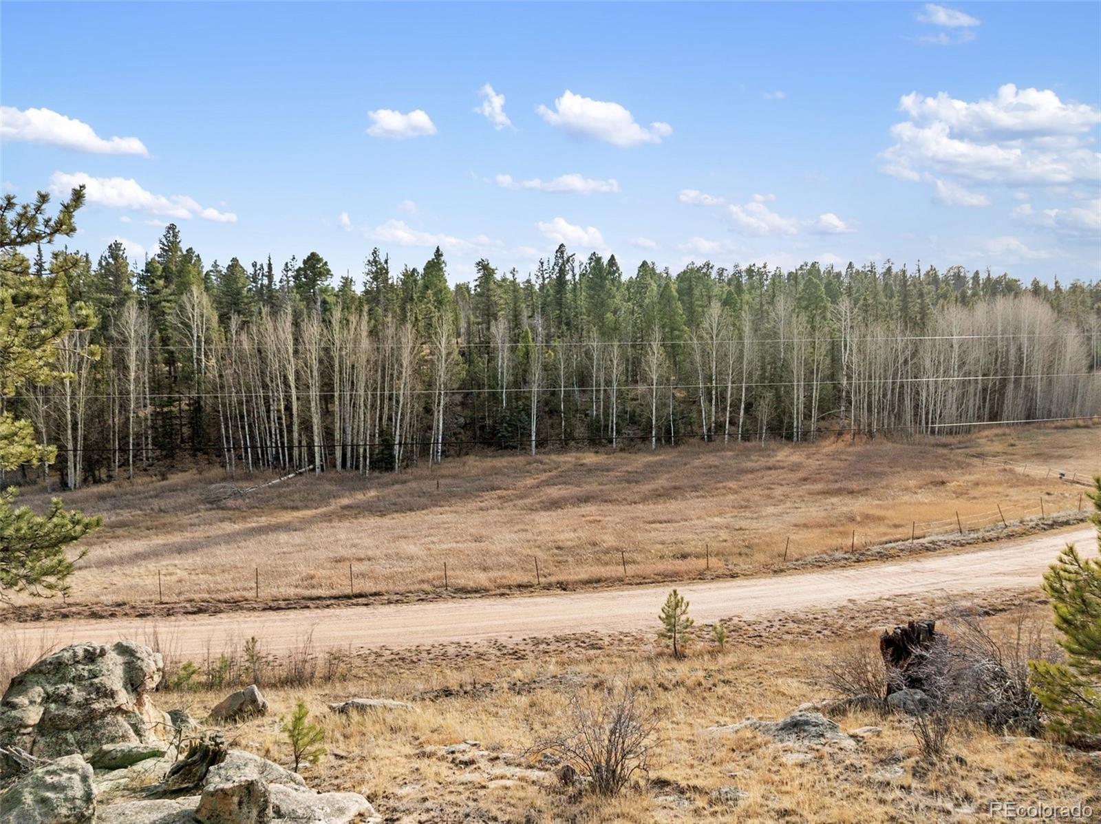 263 Valley Drive Lake George CO 80827