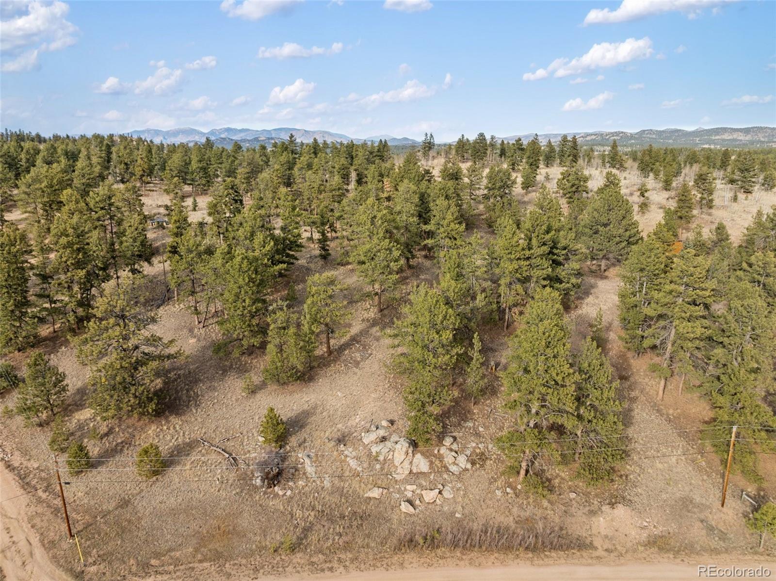 263 Valley Drive Lake George CO 80827