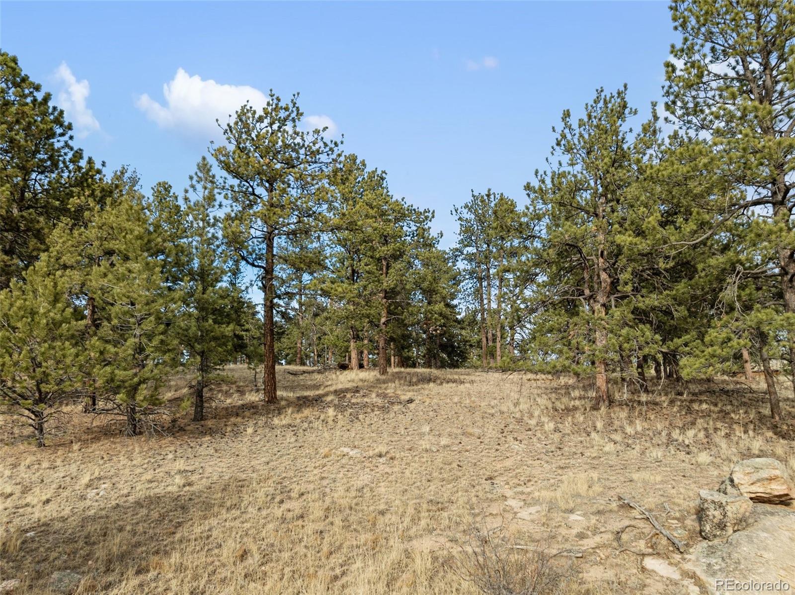 263 Valley Drive Lake George CO 80827