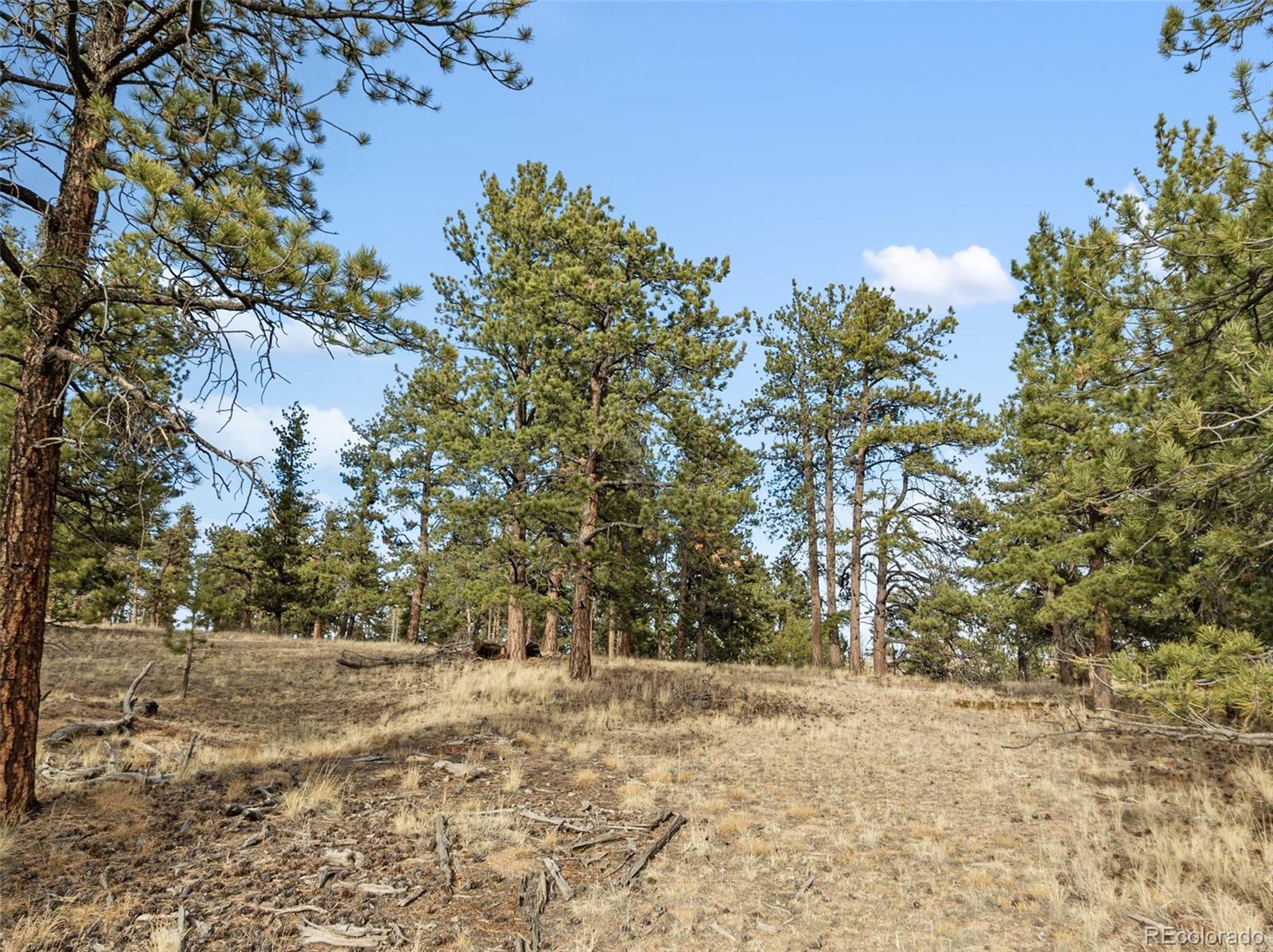 263 Valley Drive Lake George CO 80827