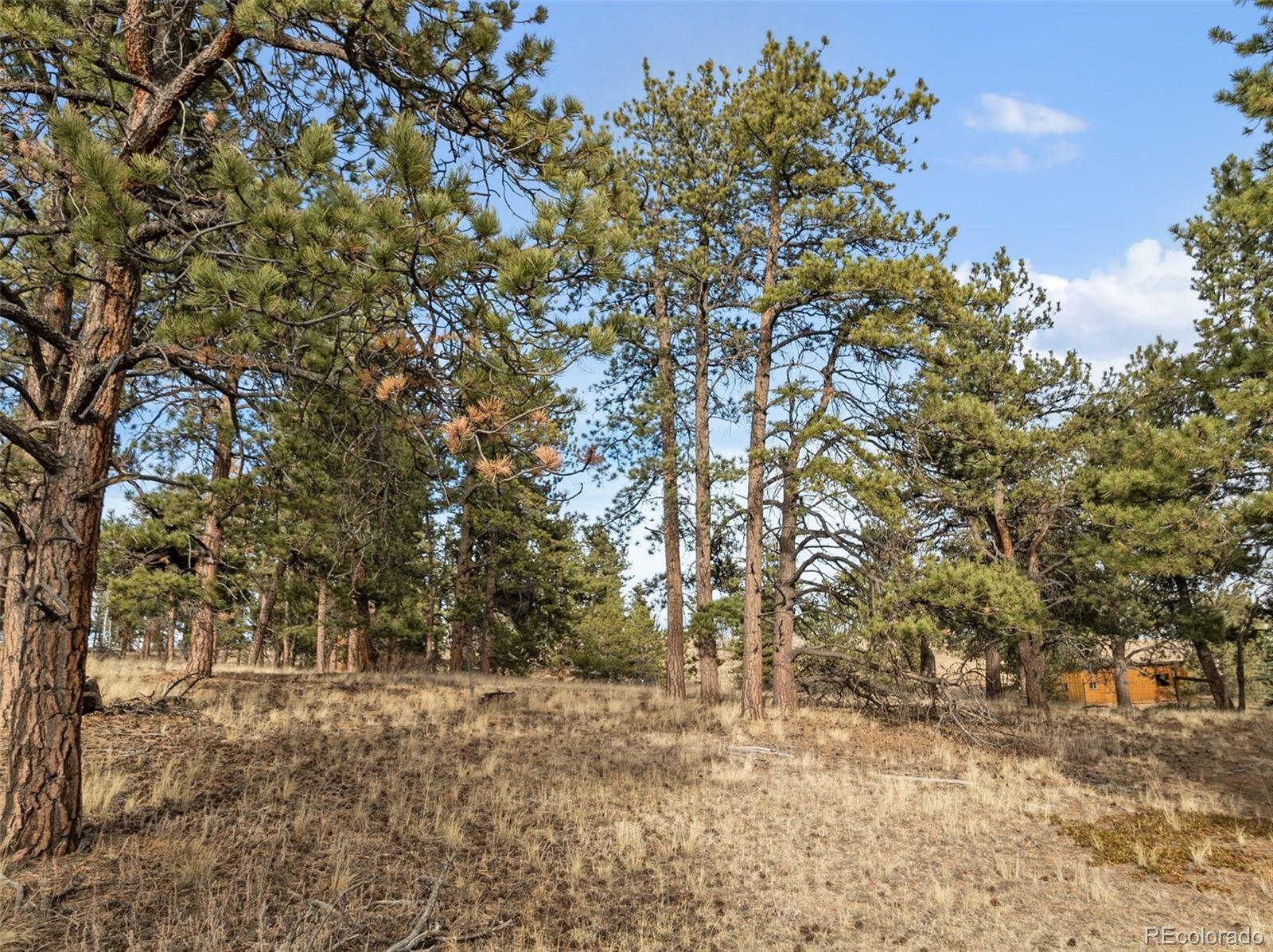 263 Valley Drive Lake George CO 80827