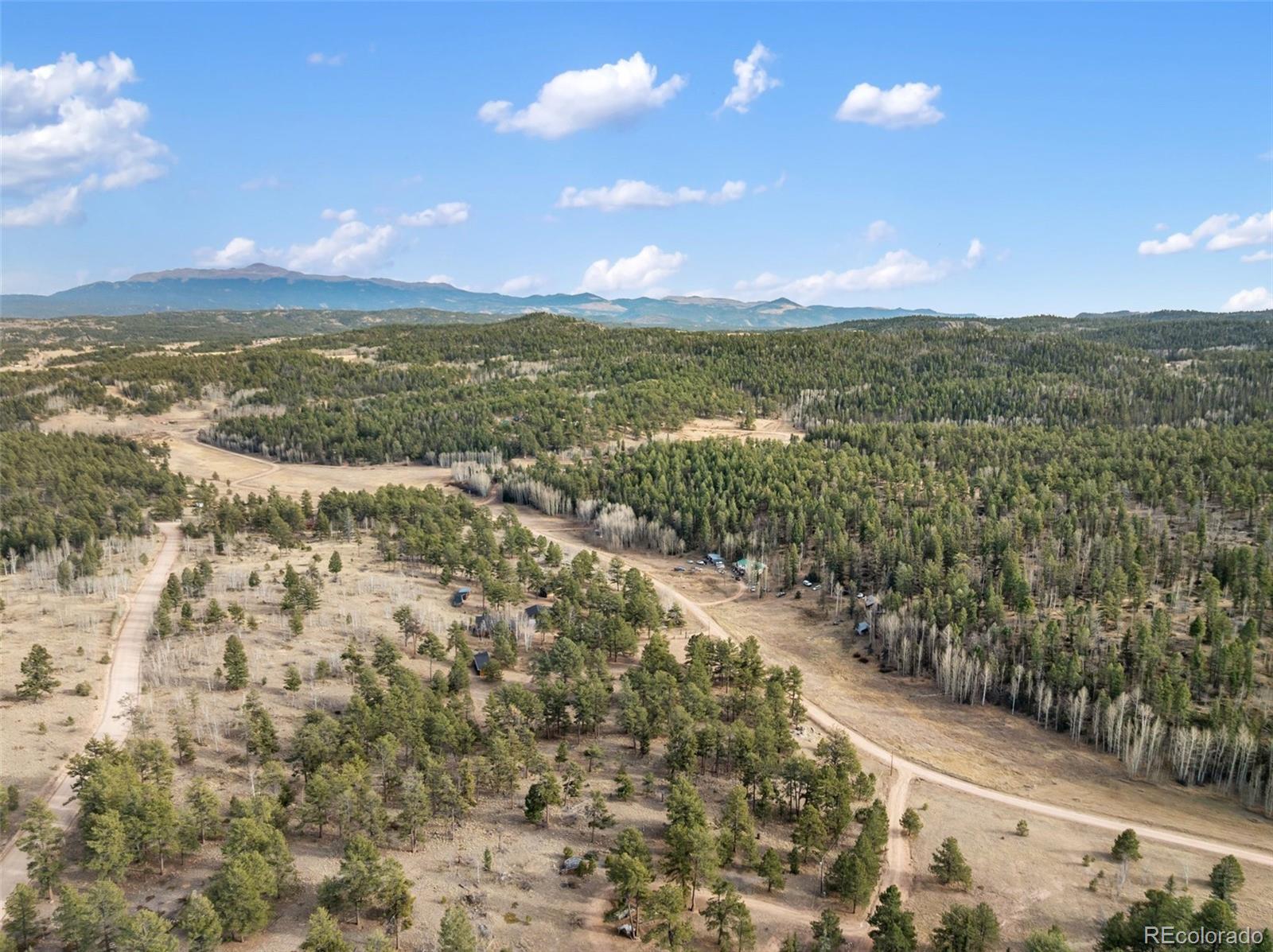 263 Valley Drive Lake George CO 80827