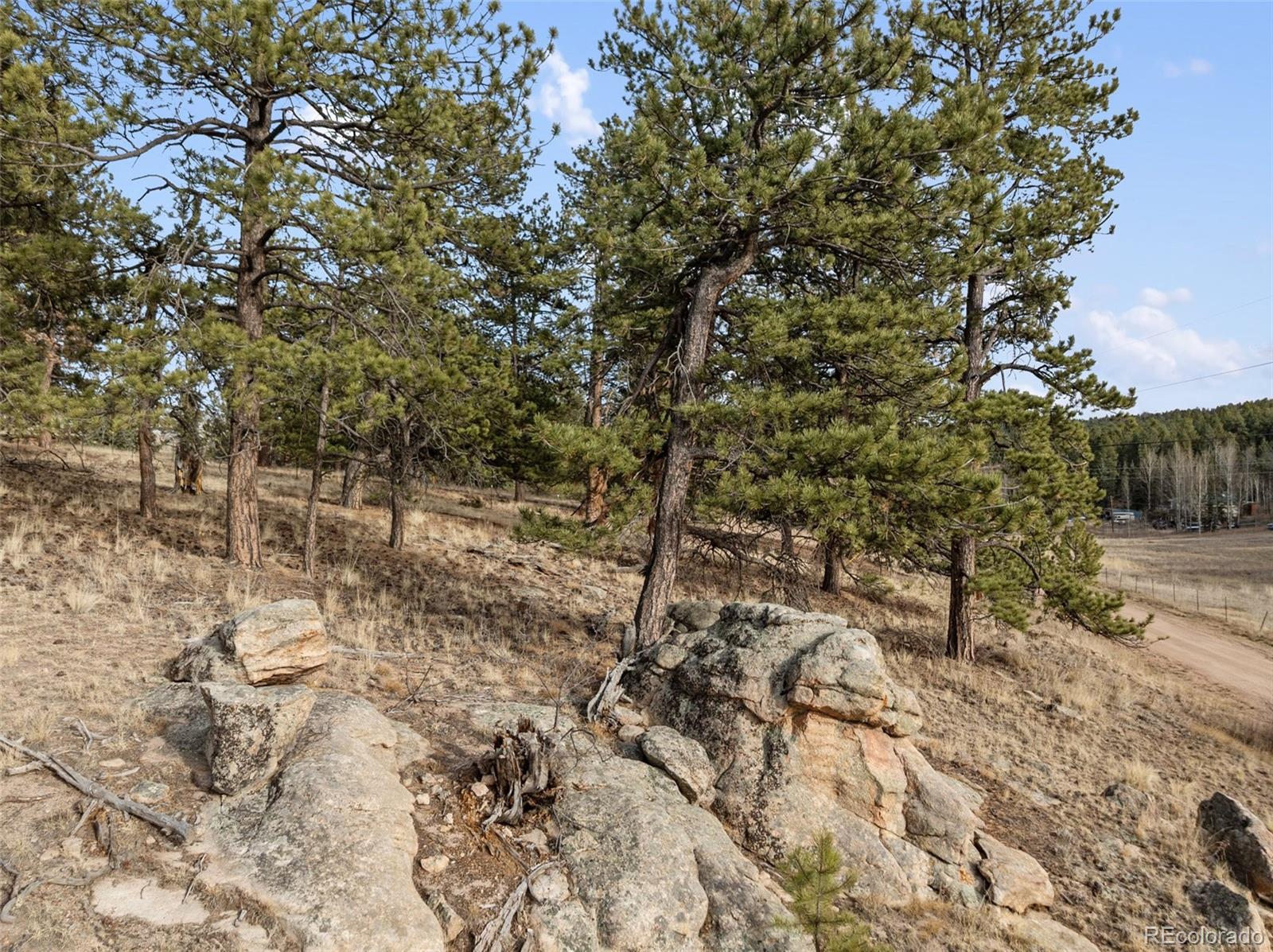 263 Valley Drive Lake George CO 80827