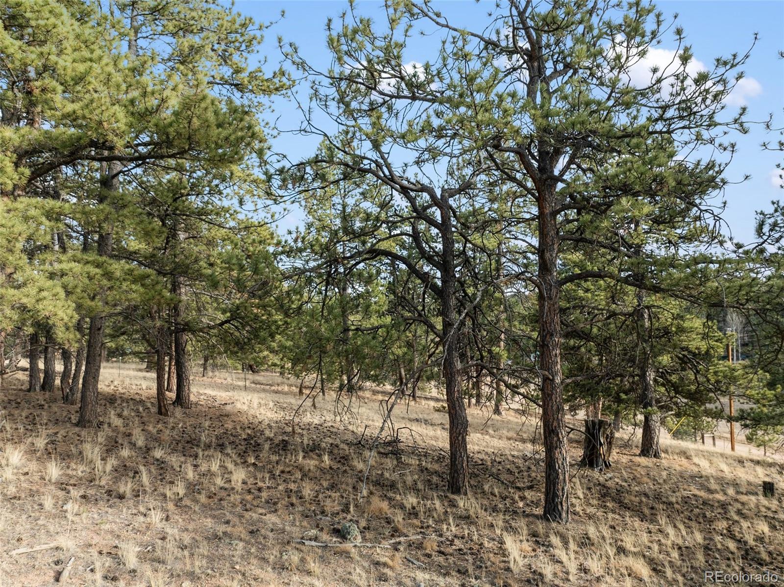 263 Valley Drive Lake George CO 80827