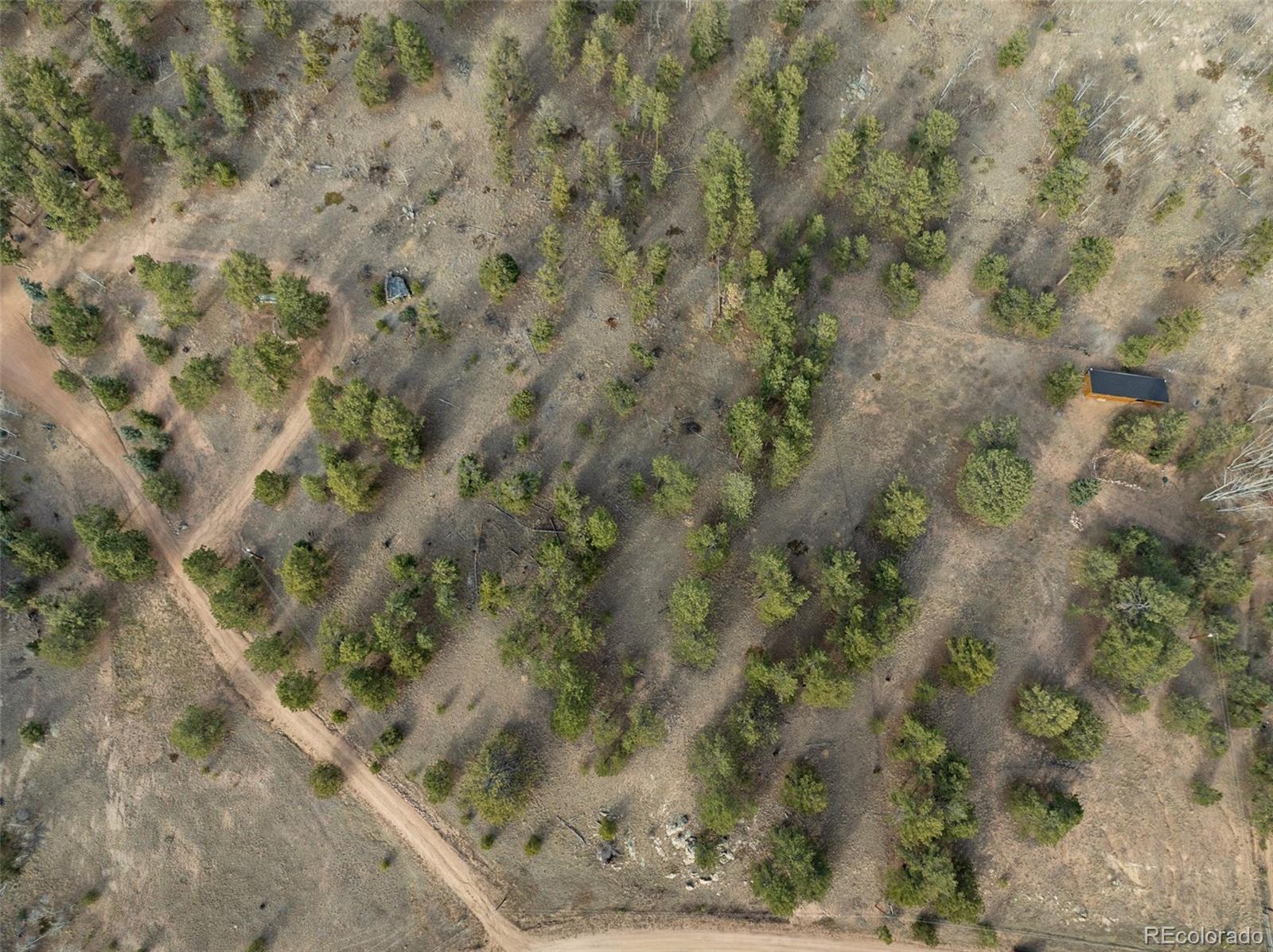 263 Valley Drive Lake George CO 80827