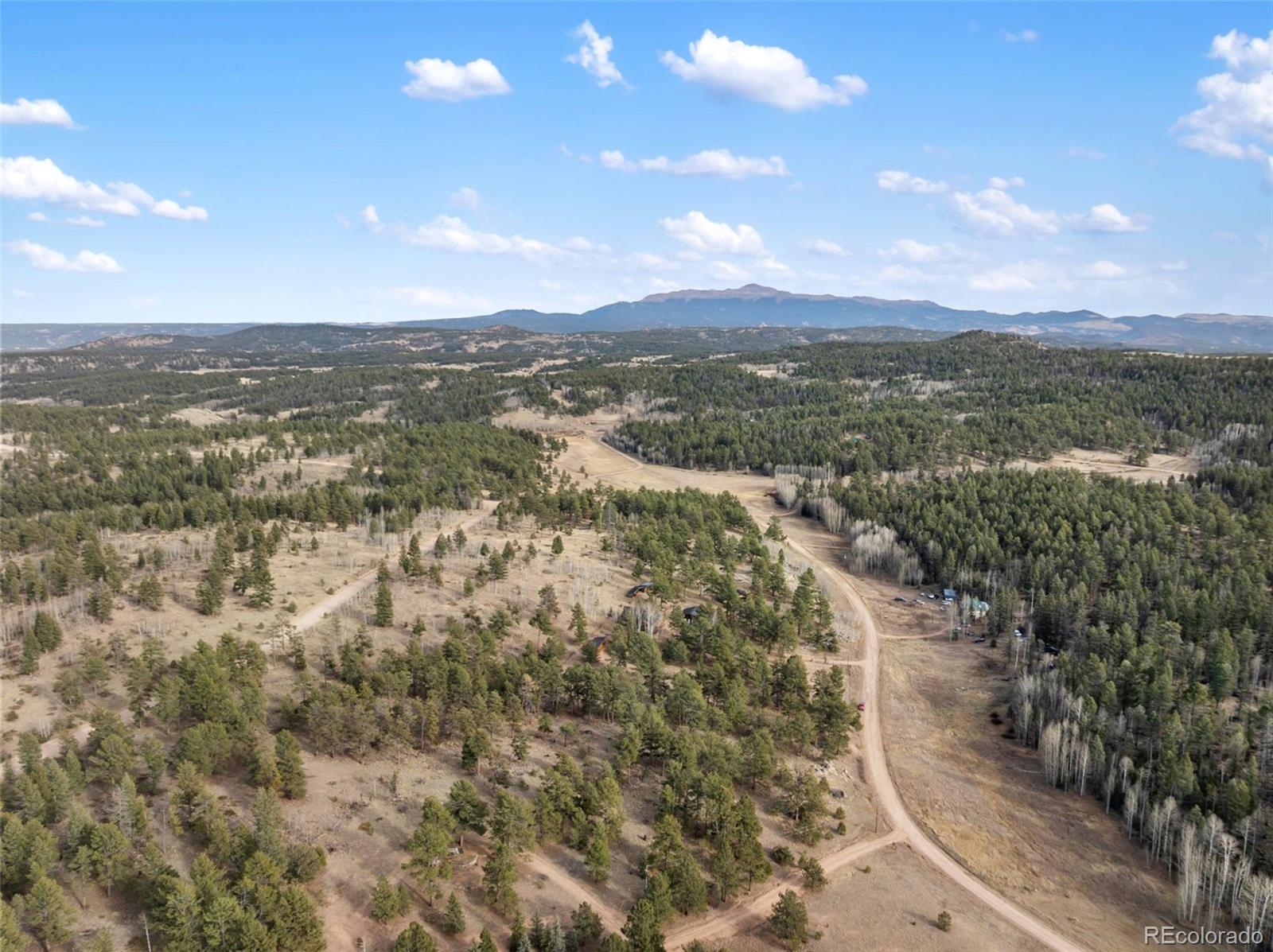 263 Valley Drive Lake George CO 80827