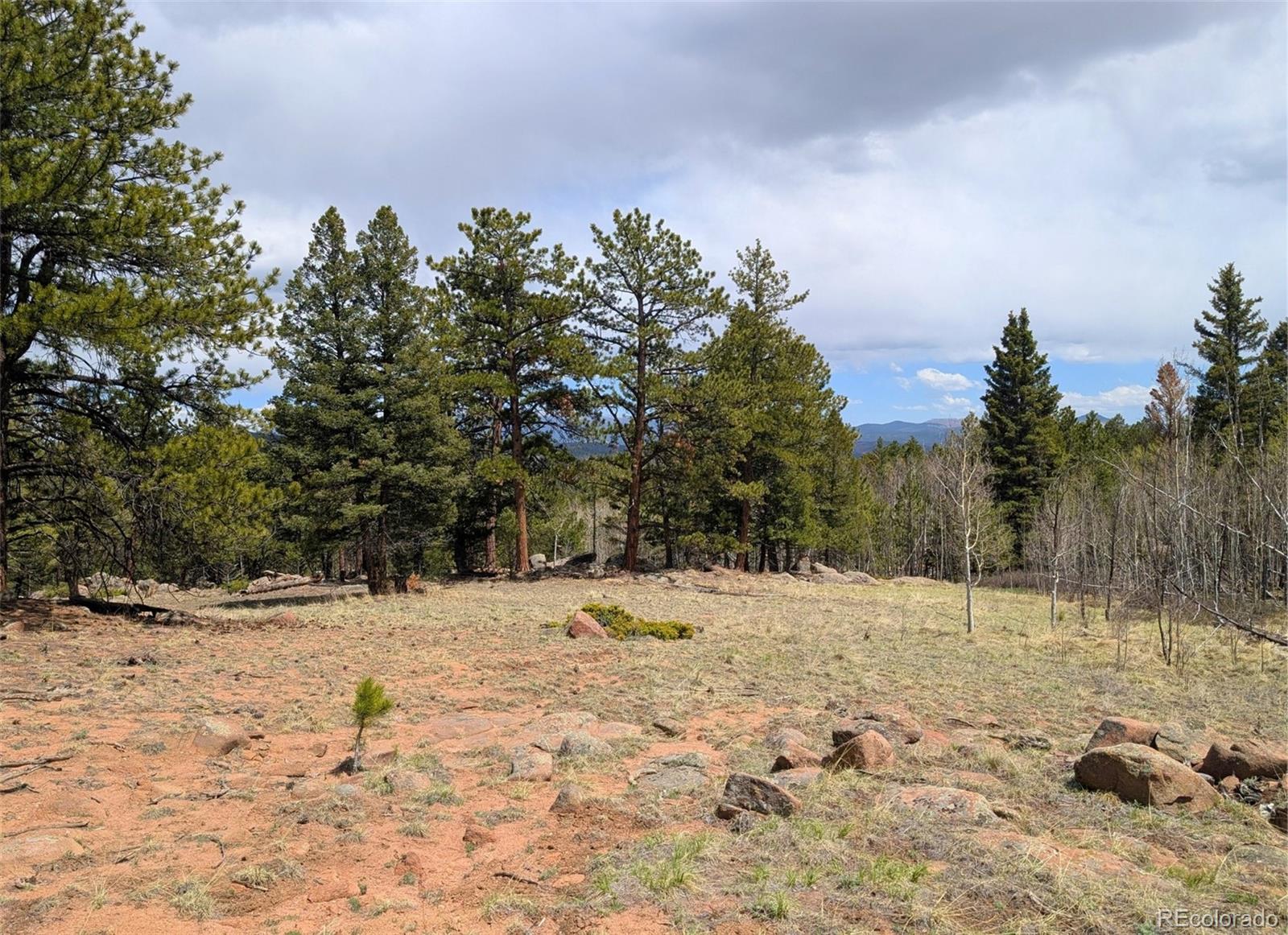 43 Spanish Bit Drive Lake George CO 80827