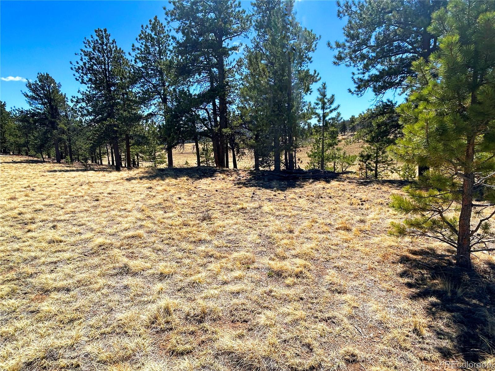 Singletree Road Buena Vista CO 81211