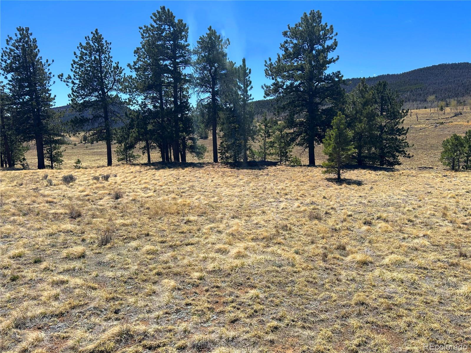 Singletree Road Buena Vista CO 81211
