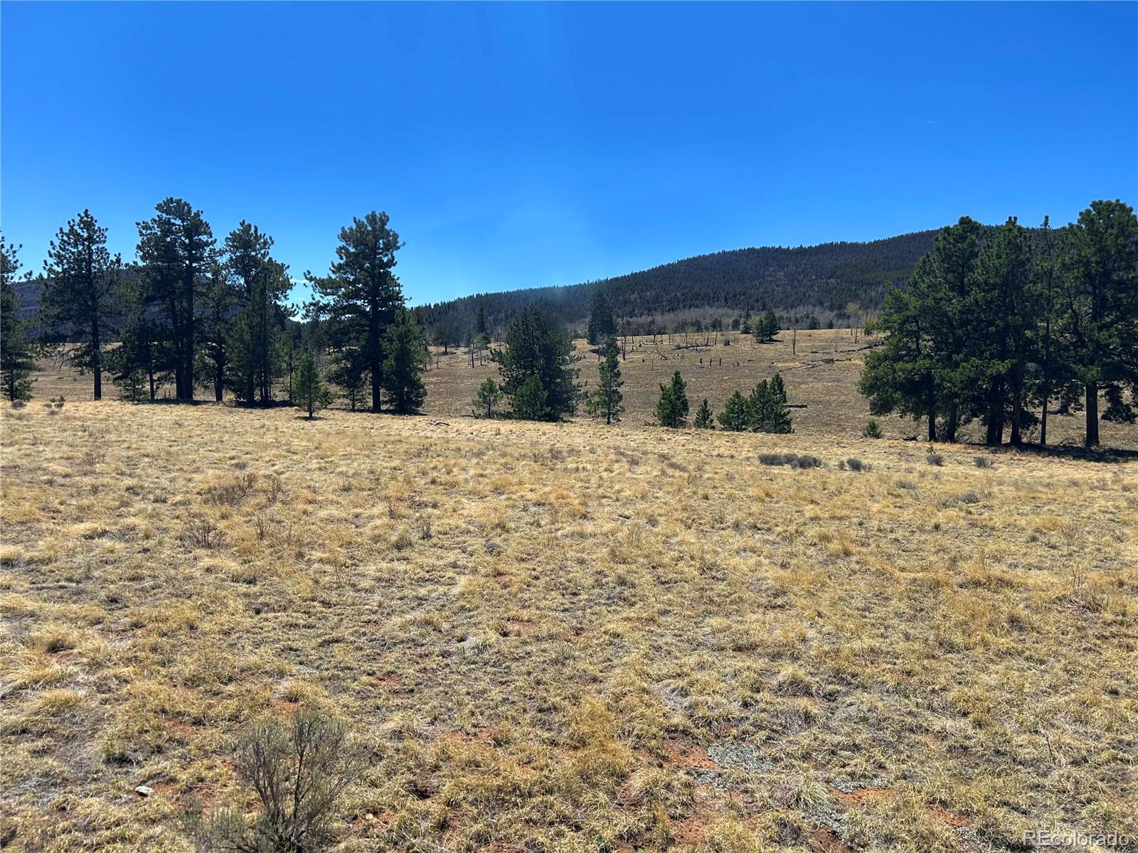 Singletree Road Buena Vista CO 81211