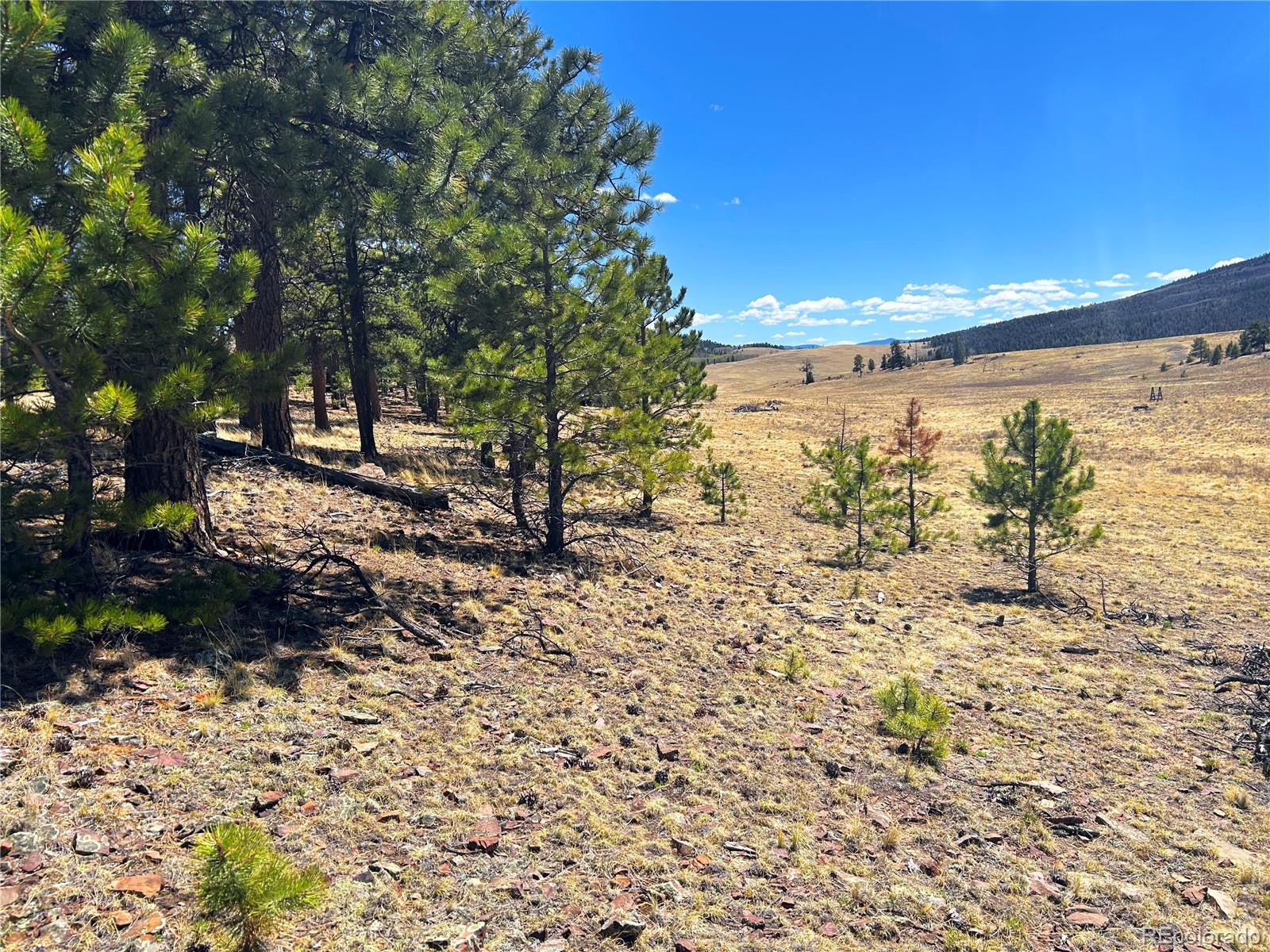 Singletree Road Buena Vista CO 81211