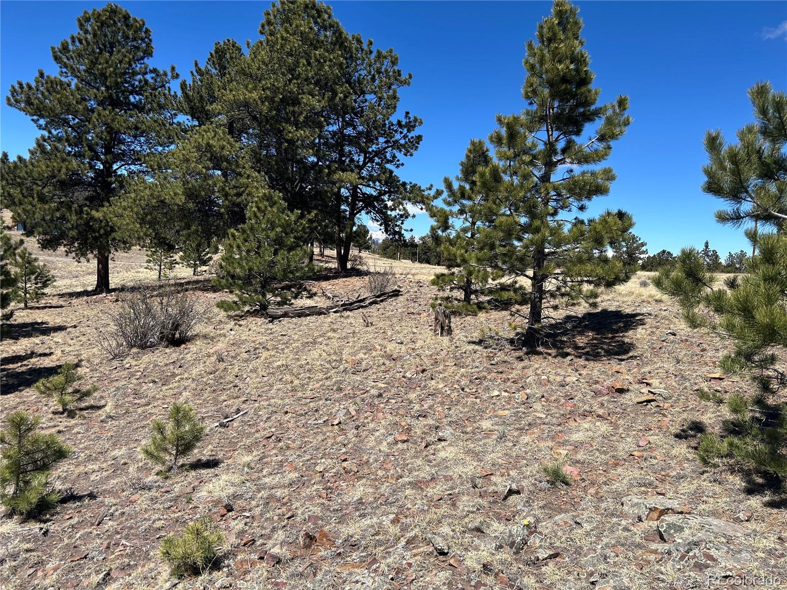 Singletree Road Buena Vista CO 81211