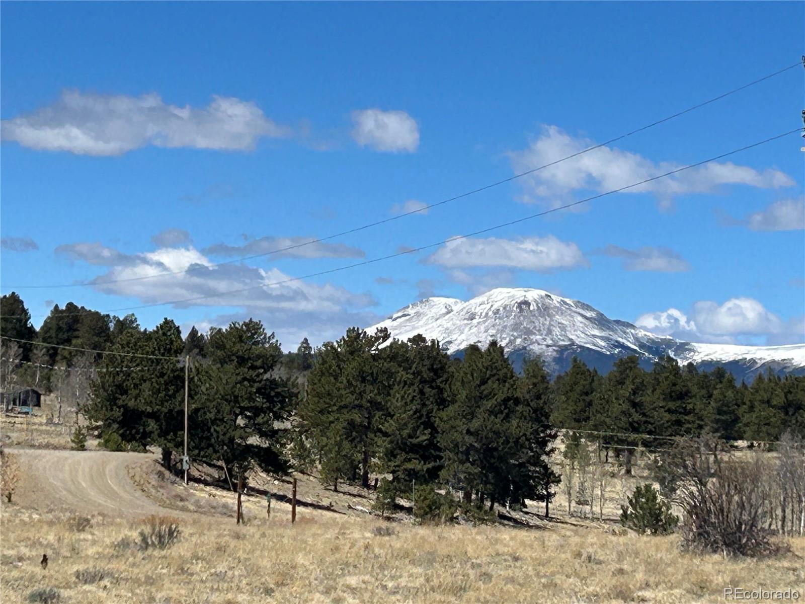 Singletree Road Buena Vista CO 81211
