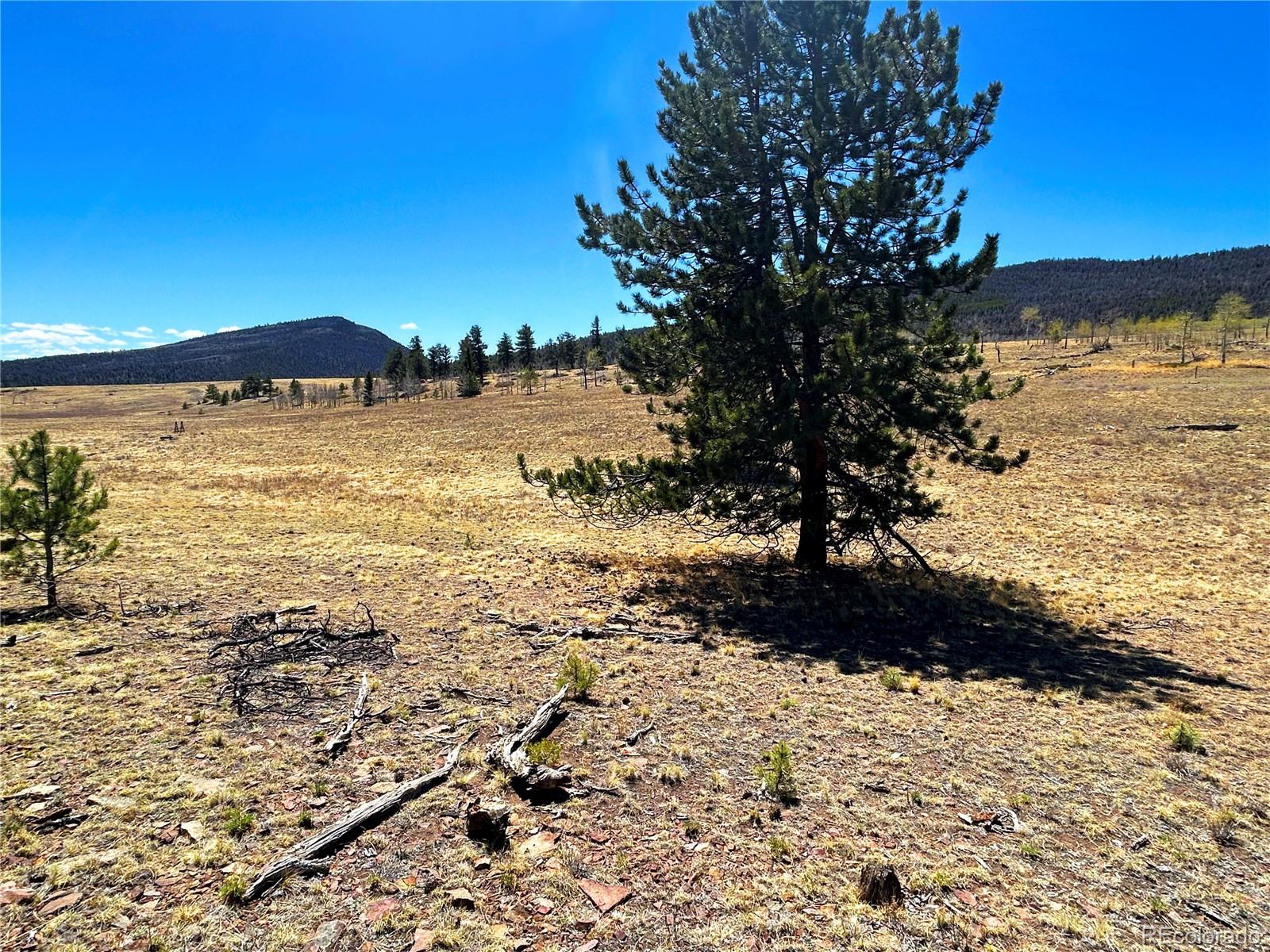 Singletree Road Buena Vista CO 81211