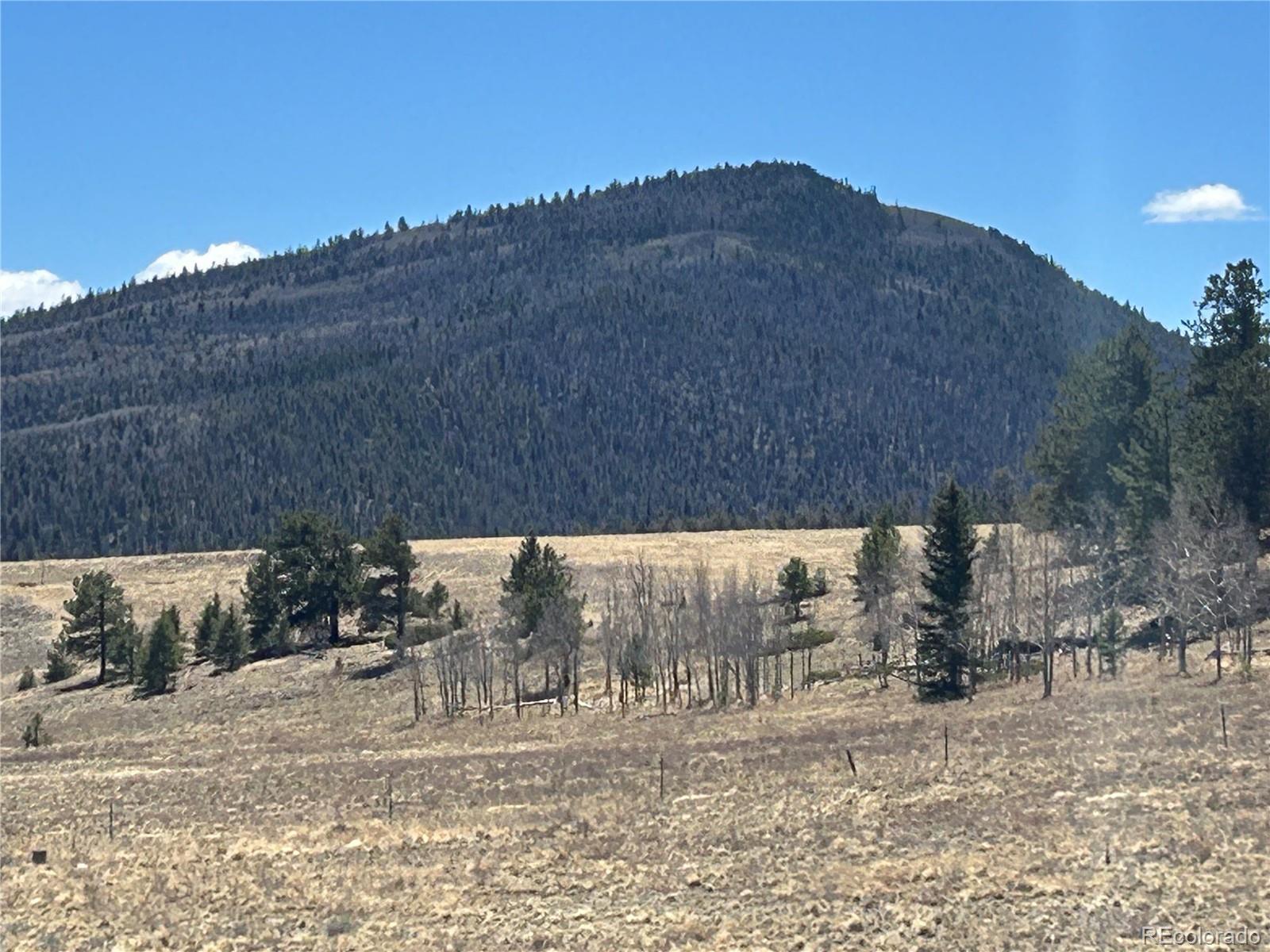 Singletree Road Buena Vista CO 81211