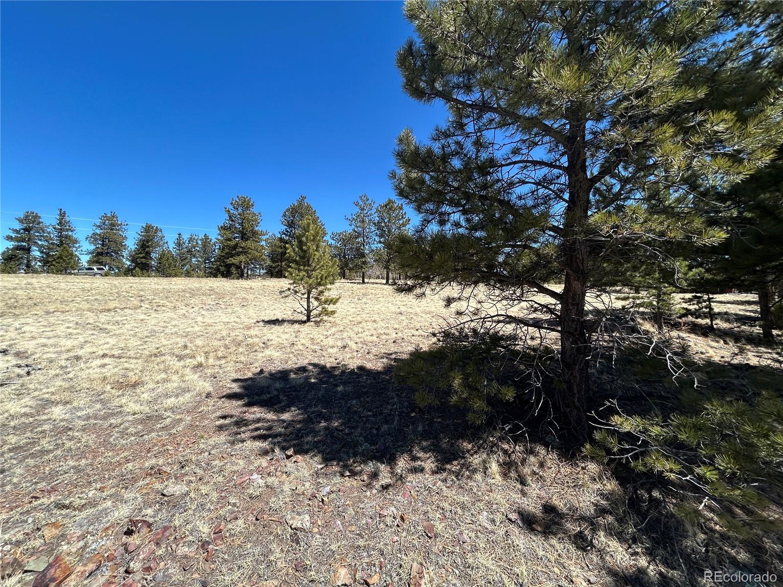 Singletree Road Buena Vista CO 81211