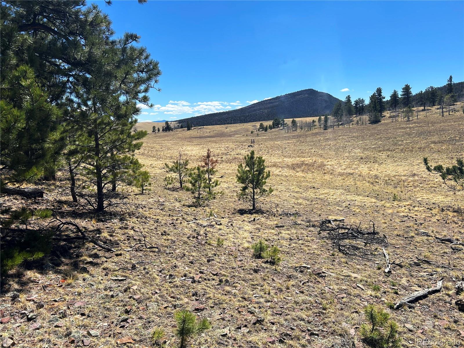 Singletree Road Buena Vista CO 81211