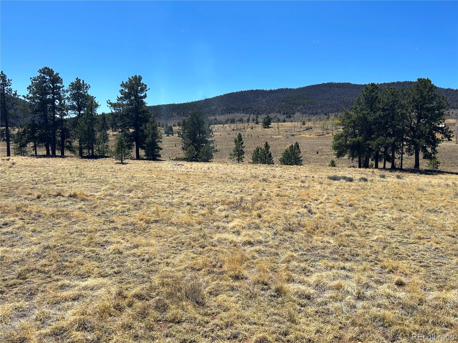 Singletree Road Buena Vista CO 81211