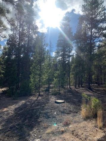 180 Peak View Drive Leadville CO 81251