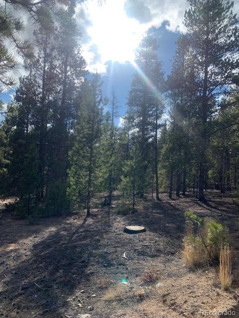 180 Peak View Drive Leadville CO 81251